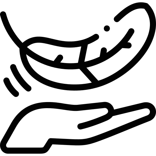 light-icon Premium Quality IconSci