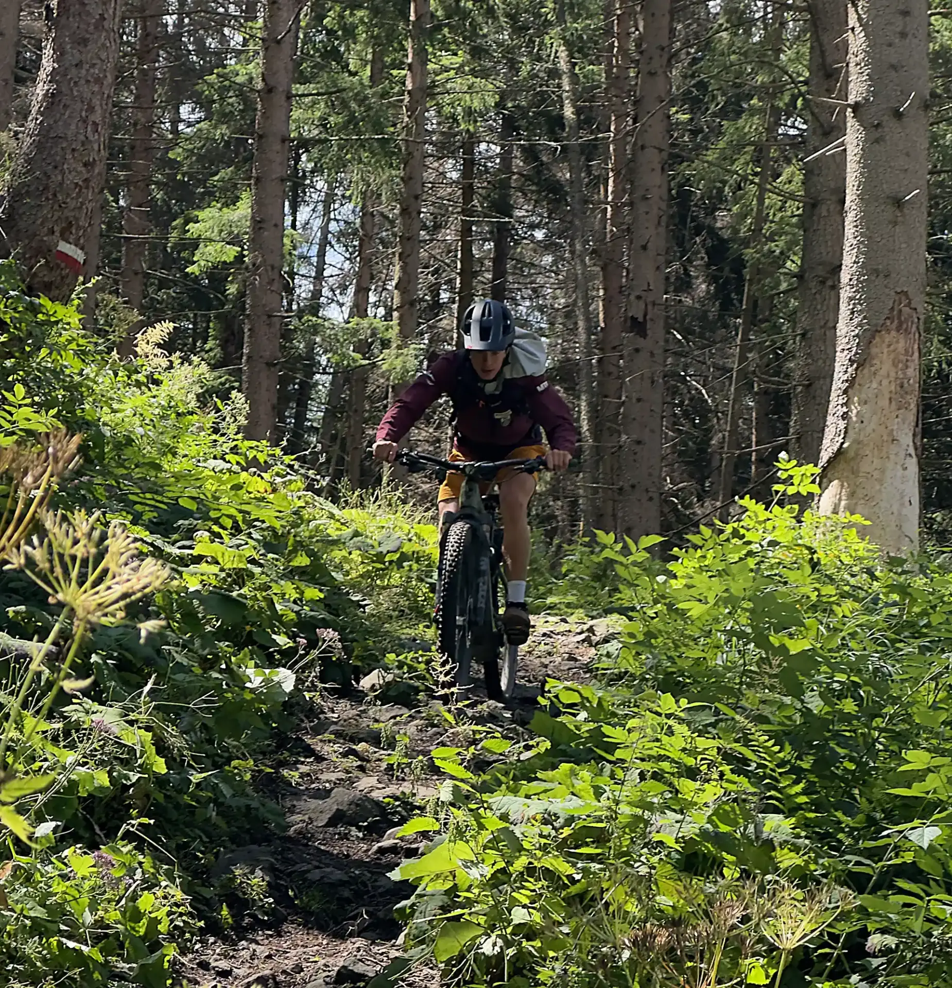 biking in the forest in val gardena